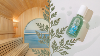 The Sauna is an Escape—But Is it Wrecking Our Hair? Here’s What to Do.