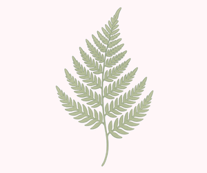 cape saltie cape cod massage gift cards