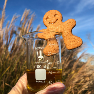 Gingerbread Man Essential Oil Diffuser Blend, 10ML, Fresh Ginger, Cinnamon & Coffee, Sweet Orange — NO. 4 Holiday Reserve